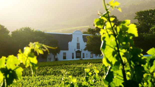 Groot Constantia - Image 2